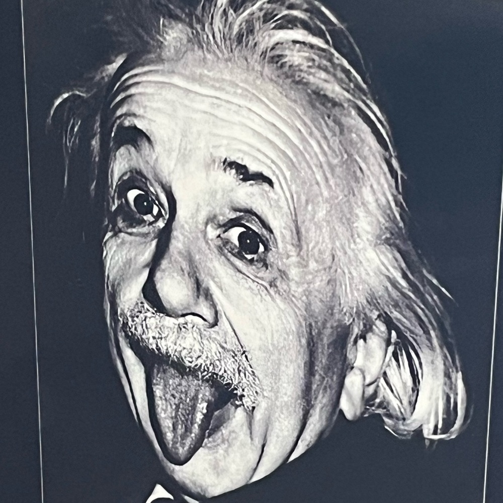Albert Einstein picture